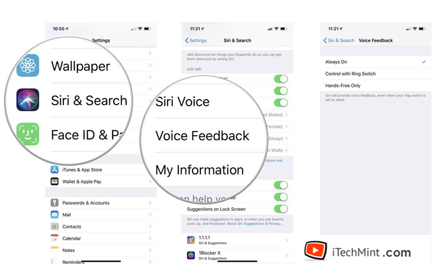 Modify Siri Voice Feedback