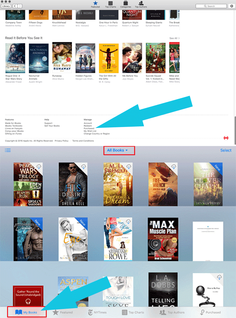 Downloading iBooks to your PC directly from iTunes