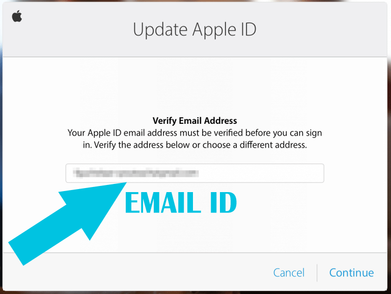 Verify your Email