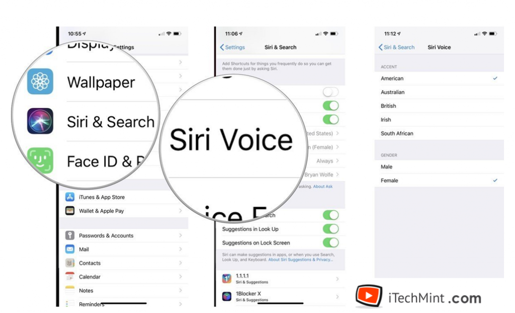 Steps to change the voice of Siri