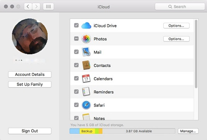 Find your iCloud usage in the System Preferences on a Mac.