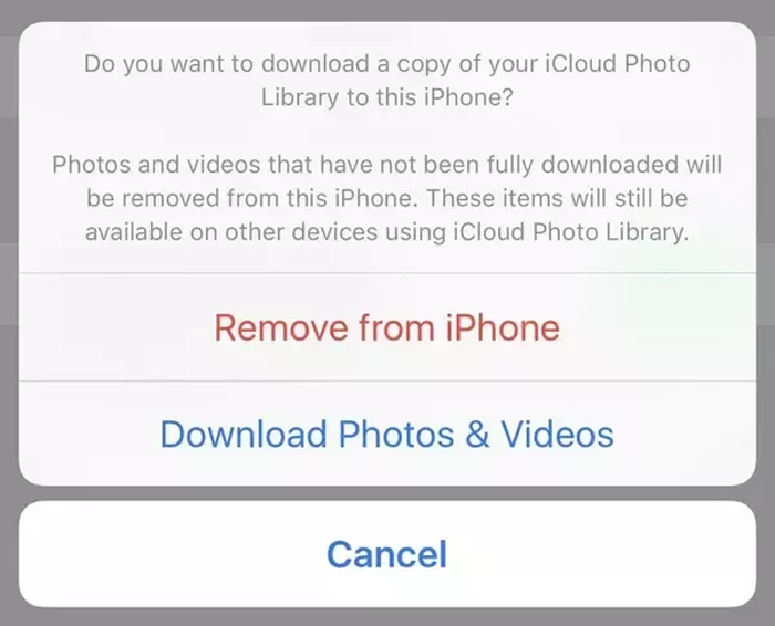 Turning off iCloud services gives you the option to download the content to your device.